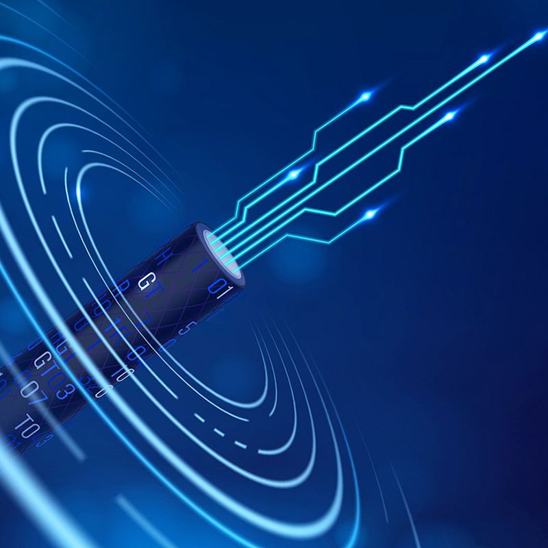 Lianou Electric toont innovatieve producten op de International Electrical Expo, toonaangevend in de groene trend